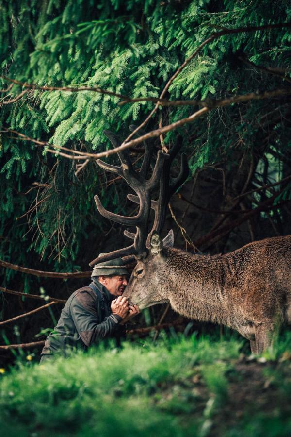 Torghele'S Wald & Fluh 호텔 발더슈방 외부 사진