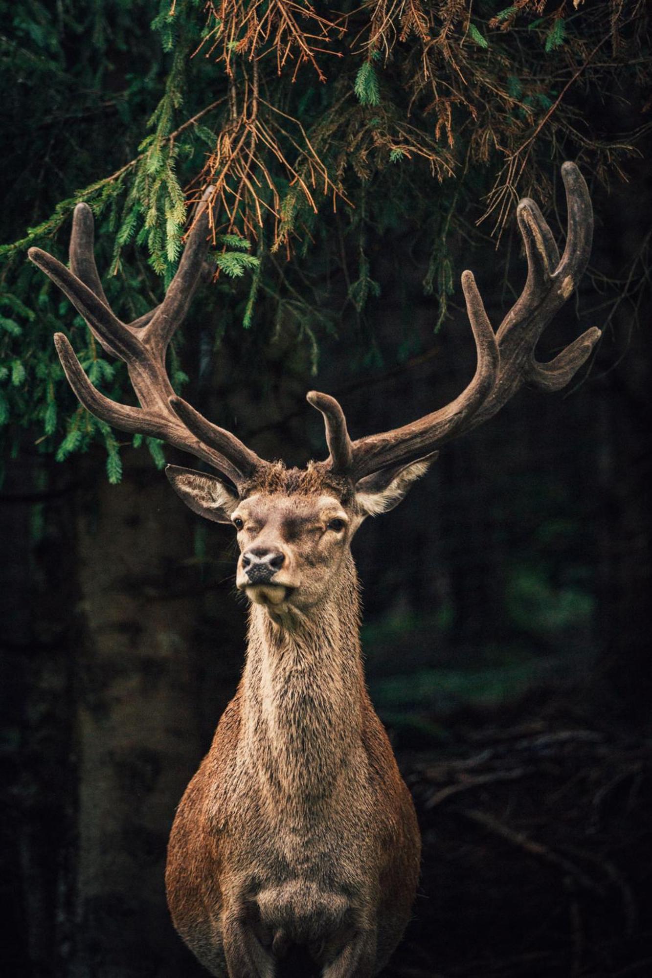 Torghele'S Wald & Fluh 호텔 발더슈방 외부 사진